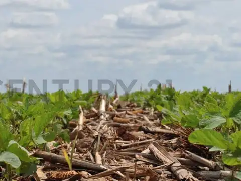 VENTA DE CAMPO DE 49 HECTARIAS. General Belgrano.