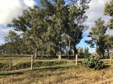 Terreno en Venta 42  mts Fondo