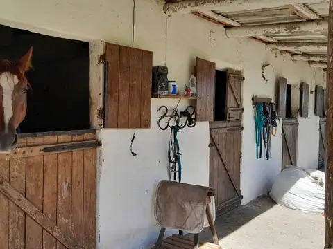 Avenida Campaña del Desierto y Coronel Baigorria