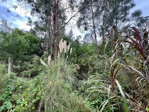 Terreno de 900 metros en cul de sac, imperdible.