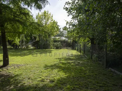 Lote 654 m2 calle Moreno Barrio de quintas