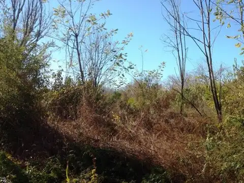 Vicente Lopez y Planes La Ribera 1