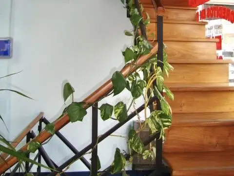 Local en Alquiler Via Púb.