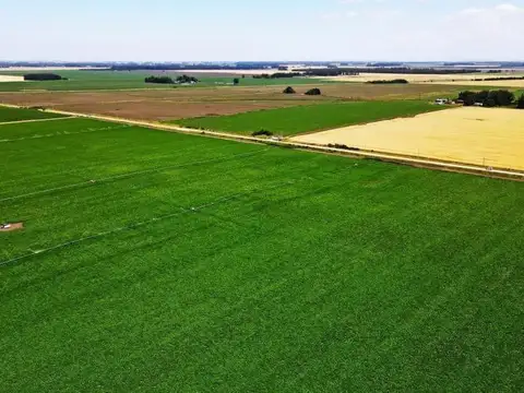 4 hectáreas / Miramar, Gral. Alvarado