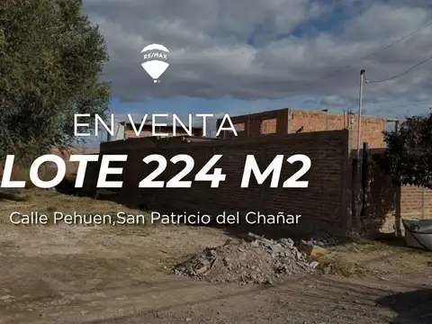 VENTA LOTE SAN PATRICIO DEL CHAÑAR