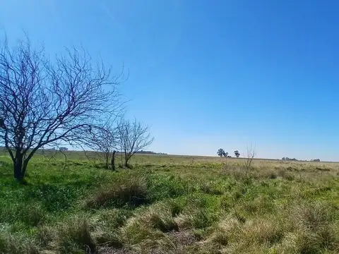 Se vende campo de 201 Has. en Sta. Teresa, Sta. Fe