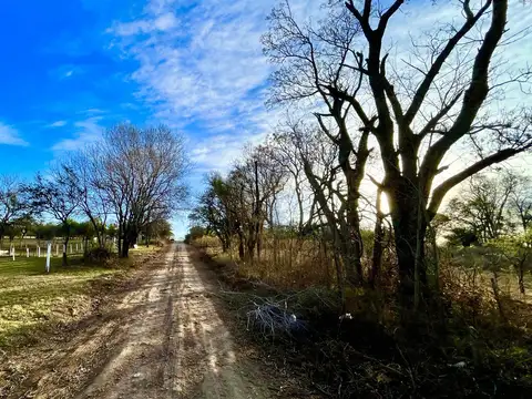 Terreno en Venta 50  mts Fondo