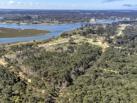 Avenida Aparicio Saravia