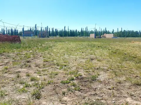 VENTA DE TERRENO EN LA MARTINA II GENERAL ROCA
