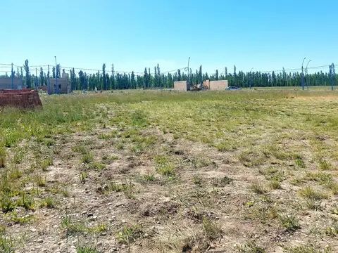 Terreno en Venta de 327,0 m2