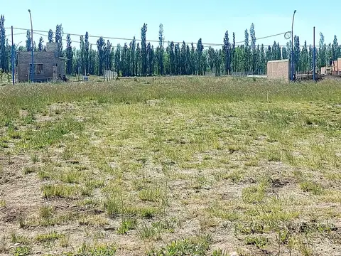Terreno en Venta en General Roca, USD 12.000