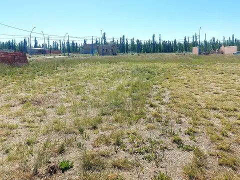 Terreno en Venta en General Roca, USD 12.000