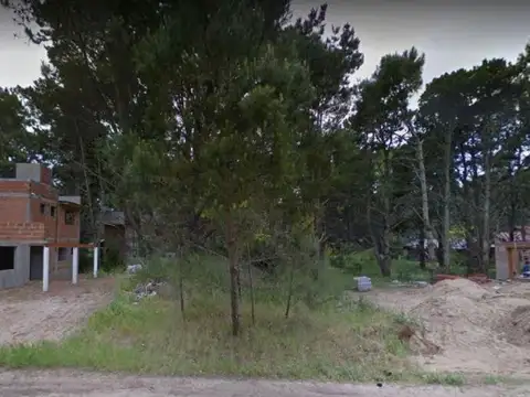 Los Lirios e/ Las Violetas y Las Orquídeas