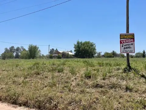 Terrenos de 2.000 m2 en Colón