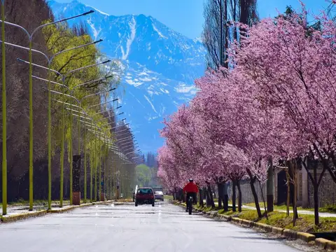 Avenida Belgrano 500