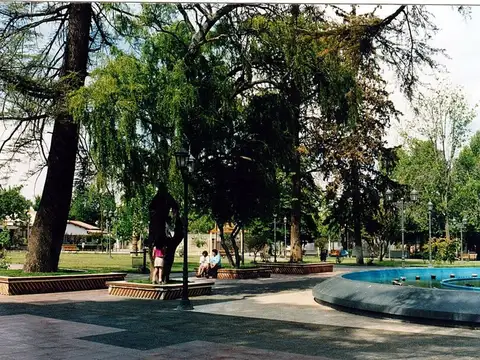 LOCAL - TERRENO 540 M2 K-0 DE TUPUNGATO