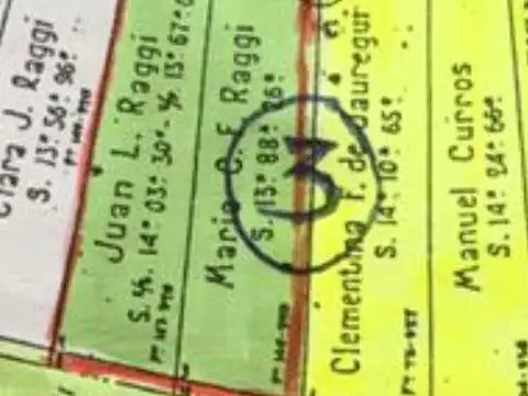 27 Has sobre el Rio Parana de las Palmas