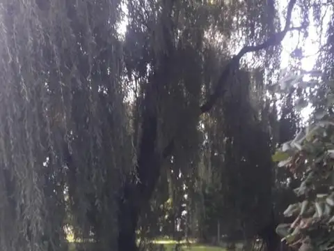 Terreno en Venta 20  mts Frente