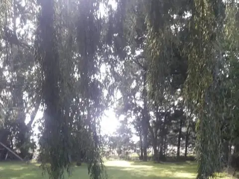 Terreno en Venta 61,50  mts Fondo