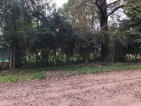 Terreno - Venta - Argentina, Tortuguitas - Caracas 3780