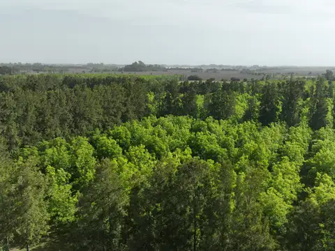 Campo en Venta de 20  ha