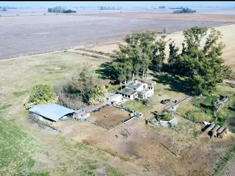 Campo en estacion diaz