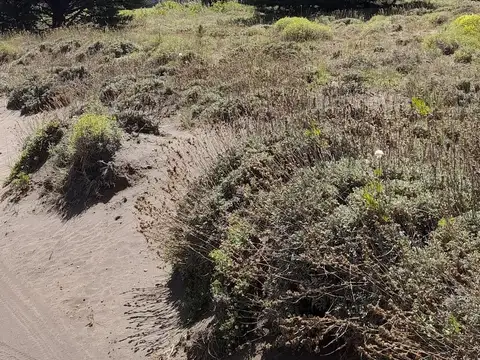 Meliquina 1, manzana H1