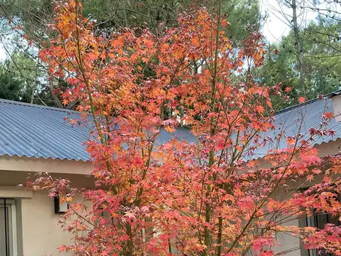Casa en Alquiler Temporal al Noroeste