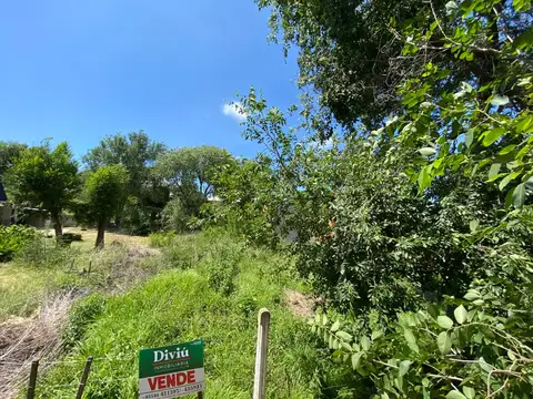 Terreno en Venta 20  mts Frente