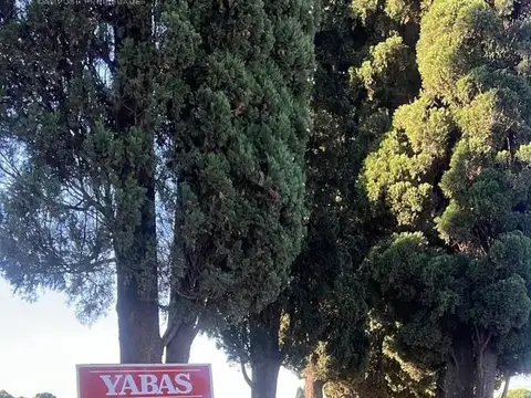 VENTA - 2 LOTES - GOBERNADOR CASTRO - (SAN PEDRO)