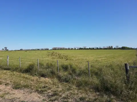 Campo en Venta de 3,60  ha