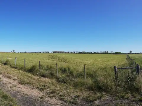 3,6 has Chacra en Villa Elisa