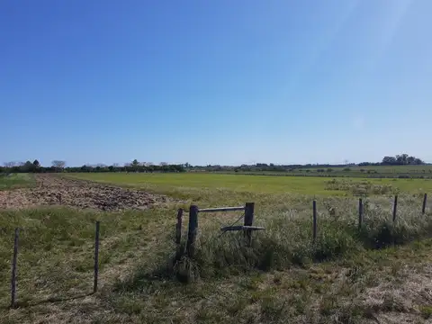 Campo en Venta con Alambrado