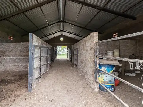 VENTA - Campo - Perez.