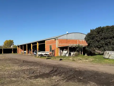 Mariana Arbel al 3300