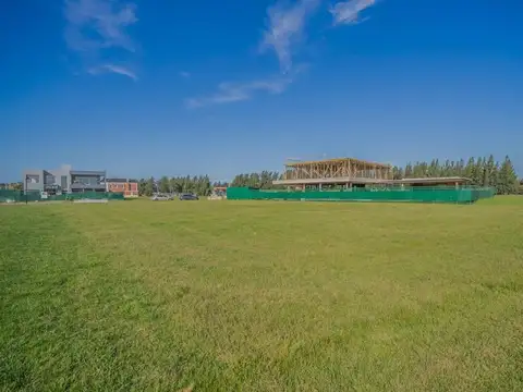 Mariano Castex 10000