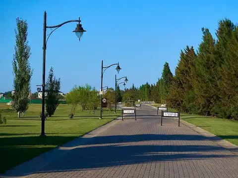 Mariano Castex 10000