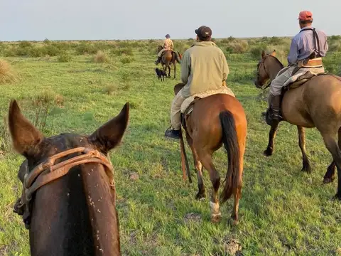 Zona Rural Golondrina 100