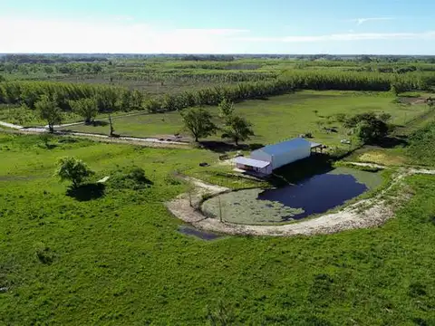 Campo en Venta 340 has en Paranacito Entre Rios, a 1500 metros de RN12