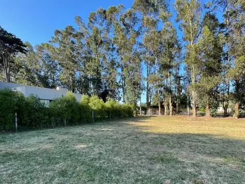 Terreno en venta - 813Mts2 - Chapadmalal