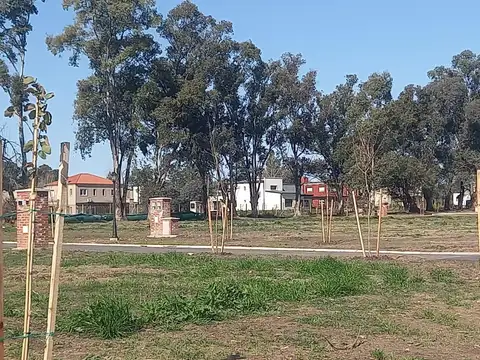 Terreno en  Barrio Santa Sofia, Pilar del Este