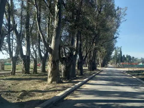 Terreno en Venta en Pilar Del Este - Santa Sofia, USD 50.000