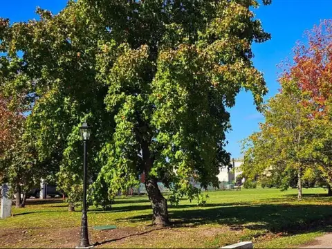 Los Cardales, Exaltación de la Cr 100