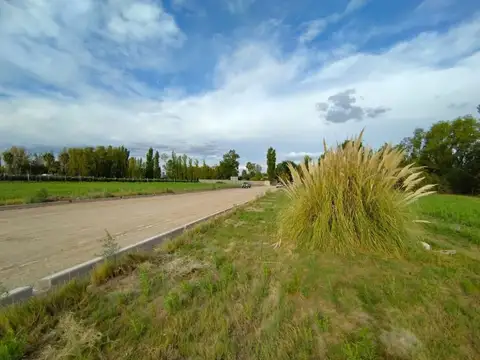 Calle Aristoteles 5800