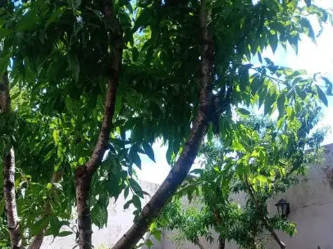 Terreno en venta en Barrio Martin