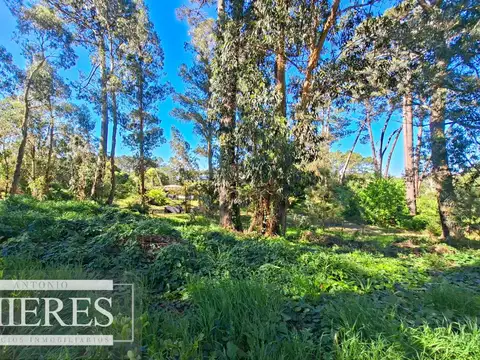 Terreno en Venta en Aigua, USD 675.000