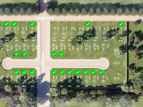 Lisandro de la Torre y Echague 100