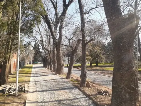 Terreno en Venta de 220,0 m2