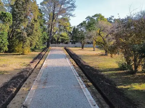 Lisandro de la Torre y Echague 100