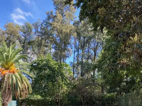 Lartigau Lespada 1780